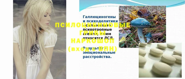 кокс Алексин
