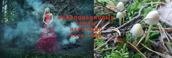 кокс Алексин